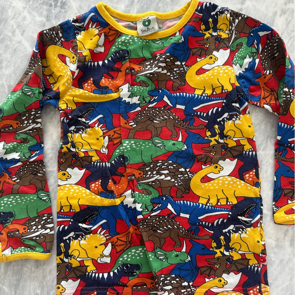 Colorful Dinosaur Print Long Sleeve Shirt